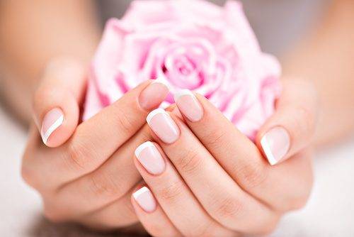 Photo d'une rose tenue délicatement au creux des mains d'une femme. Les ongles sont propres et soignés avec une pose de vernis French.